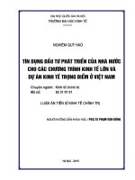 Tín dụng đầu tư phát triển của nhà nước cho các chương trình kinh tế lớn và dự án kinh tế trọng điểm ở việt nam 