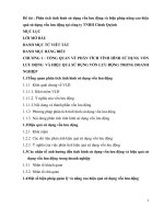 Phân tích tình hình sử dụng vốn lưu động và biện pháp nâng cao hiệu quả sử dụng vốn lưu động tại công ty TNHH chính quỳnh 