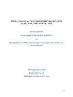 NHỮNG VẤN ĐỀ QUAN TRỌNG TRONG PHÁT TRIỂN BỀN VỮNG CỦA DÂN TỘC THIỂU SỐ Ở VIỆT NAM