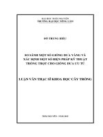 So sánh một số giống dưa vàng và xác định một số biện pháp kỹ thuật trồng trọt cho giống dưa ưu tú