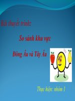 SO SÁNH CHÍNH TRỊ KHU VỰC ĐÔNG ÂU VÀ TÂY ÂU