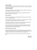 Cùng tập thiền để rèn luyện và bảo vệ sức khỏe