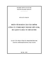 Phân tích báo cáo tài chính công ty TNHH một thành viên xuất nhập khẩu, du lịch và đầu tư hồ gươm 