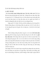 Một số biện pháp tham mưu đầu tư cơ sở vật chất nhằm nâng cao chất lượng chăm sóc giáo dục trẻ ở trường mầm mon b liên ninh 