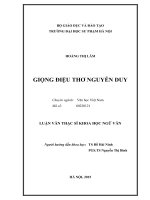 Đề tài Giọng điệu thơ Nguyễn Duy
