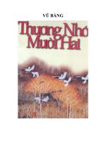 thương nhớ mười hai  vũ bằng