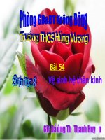 Bài giảng sinh học 8 vệ sinh hệ thầm kinh tham khảo thao giảng (9)
