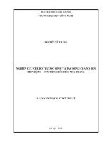 Nghiên cứu chế độ trường sóng và tác động của nó đến biến động   suy thoái bãi biển nha trang 