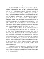 phương pháp giải lặp NewtonRaphson giải hệ phương trình phi tuyến để xác định nồng độ cân bằng của các ion trong dung dịch