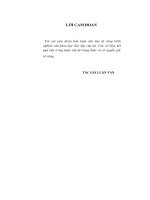 luận văn thạc sĩ kinh tế Giải pháp nâng cao hiệu quả hoạt động sản xuất kinh doanh tại công ty cổ phần phát trê