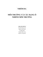 01 MÔI TRƯỜNG VÀ CÁC DẠNG Ô NHIỄM MÔI TRƯỜNG