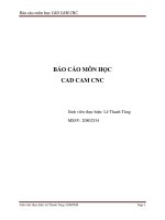 BÁO CÁO MÔN HỌC  CAD CAM CNC