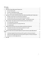Tiểu luận tự do thương mại hàng hóa trong cộng đồng kinh tế asean (AEC)   nhóm 21