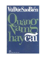 quảng nam hay cãi vũ đức sao biển