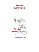 tác phẩm bướm trắng của   w  mosley