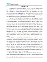 Nâng cao hiệu quả hoạt động cho vay mua xe ô tô đối với khách hàng cá nhân tại ngân hàng TMCP á châu 