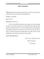 BÁO CÁO TỐT NGHIỆP PHÂN TÍCH HIỆU QUẢ HOẠT ĐỘNG SẢN XUẤT KINH DOANH CÔNG TY CP NAM SƠN CÁT