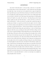 Lý luận hình thái kinh tế  xã hội và sự vận dụng vào sự nghiệp xây dựng chủ nghĩa xã hội ở Việt Nam