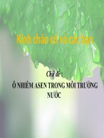 Bài thuyết trình ô nhiễm asen trong môi trường nước