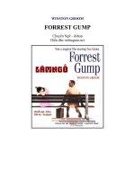 Forrest gump   winston groom