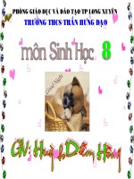 Bài giảng sinh học 8 vệ sinh hệ thầm kinh tham khảo thao giảng (1)