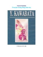truyện trong lòng bàn tay  y  kawabata