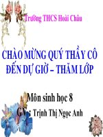 Bài giảng sinh học 8 vệ sinh hệ thầm kinh tham khảo thao giảng (4)