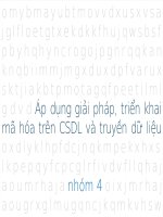 Áp dụng giải pháp, triển khai mã hóa trên CSDL và truyền dữ liệu