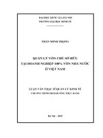 Quản lý vốn chủ sở hữu tại doanh nghiệp 100% vốn nhà nước ở việt nam