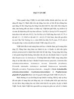 Định lượng actinobacillus actinomycetemcomitans, porphyromonas gingivalis bằng realtime PCR và đánh giá hiệu quả của phương pháp điều trị không phẫu thuật bệnh viêm quanh răng