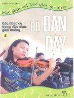 các nhạc cụ dân tộc trong dàn nhạc giao hưởng tập4