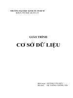 Giáo trình cơ sở dữ liệu  phần 1   đại học kinh tế TP  HCM
