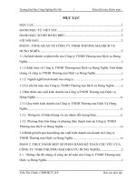 Báo cáo thực tập: THỰC HÀNH MỘT SỐ PHẦN HÀNH KẾ TOÁN CHỦ YẾU CỦA CÔNG TY TNHH THƯƠNG MẠI DỊCH VỤ HƯNG NGHĨA.