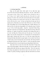 Khoá luận tuyên truyền xây dựng nông thôn mới ở tỉnh thái bình hiện nay