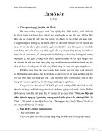 Nâng cao hiệu quả thẩm định tín dụng tại ngân hàng thương mại cổ phần phát triển thành phố hồ chí minh, chi nhánh sở giao dịch đồng nai, phòng giao dịch quyết thắng