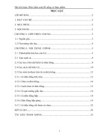 Bài tiểu luận môn kiểm soát đồ uống và thực phẩm: Ẩm thự cá diêu hồng