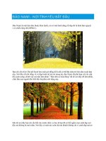 Đảo Nami  Nơi tình yêu bắt đầu