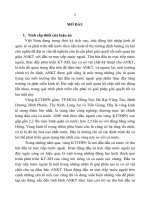 Mối quan hệ giữa an ninh kinh tế với đầu tư trực tiếp nước ngoài ở vùng kinh tế trọng điểm phía nam 