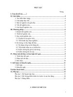 SKKN nâng cao kết quả học tập môn toán lớp 5a trường tiểu học ninh hưng thông qua phương pháp phân tích khi giải bài toán tính diện tích trong chương hình học 