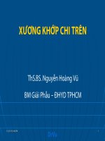XƯƠNG KHỚP CHI TRÊN  giải phẫu y học