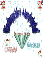 bài giảng toán lớp 5 luyện tập về tính diện tích