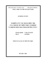 Nghiên cứu tác dụng điều trị của thuốc HT trên thực nghiệm và bệnh nhân đái tháo đường typ 2