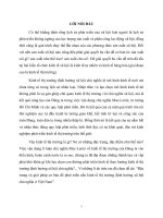 Đặc trưng và giải pháp cơ bản để phát triển nền kinh tế thị trường định hướng xã hội chủ nghĩa ở việt nam