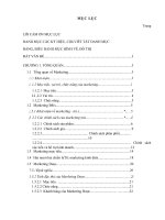 Phân tích chiến lược marketing các sản phẩm của công ty hy phens tại việt nam 