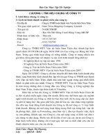 PHÂN TÍCH TÌNH HÌNH THỰC HIỆN CHỈ TIÊU kết QUẢ sản XUẤT KINH DOANH, TÌNH HÌNH tài CHÍNH của CÔNG TY TNHH – MTV vận tải BIỂN NAM TRIỆU năm 2010 