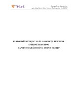 HƯỚNG DẪN SỬ DỤNG NGÂN HÀNG ĐIỆN TỬ EBANK INTERNET BANKING DÀNH CHO KHÁCH HÀNG DOANH NGHIỆP