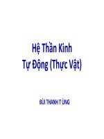 hệ thần kinh thực vật