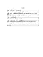 Tiểu luận TÀI CHÍNH DOANH NGHIỆP: PHÂN TÍCH TÌNH HÌNH TÀI CHÍNH CÔNG TY CỔ PHẦN TÂN TẤN LỘC