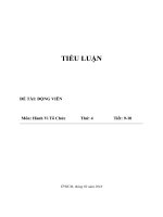 Động viên trong tổ chức