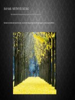 Đảo Nami  Nơi tình yêu bắt đầu